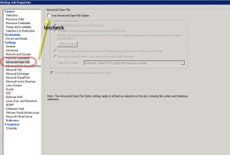 Backup Exec Advanced Open File Option